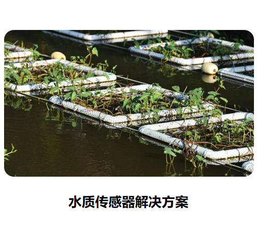 物联网传感器-水质系列解决方案