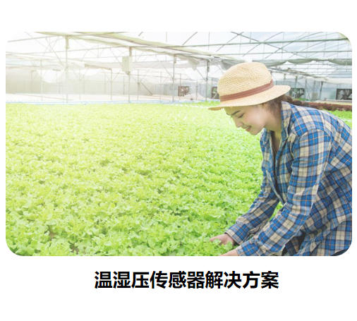 物联网传感器-温湿压系列解决方案