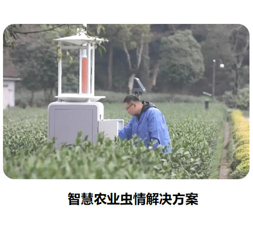 智慧农业虫情解决方案